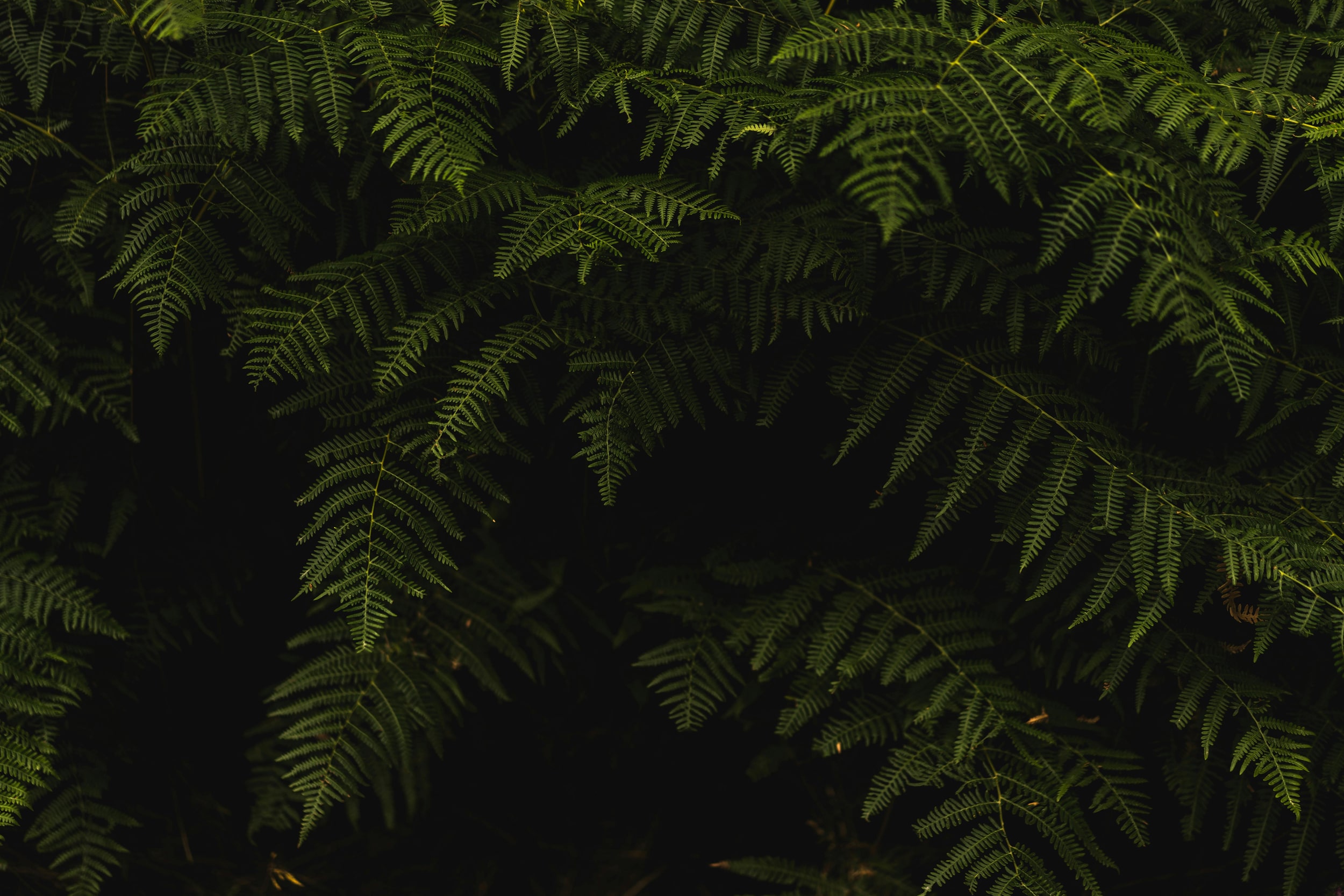parallax background